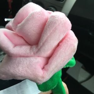 Meet your Posher, Hailey